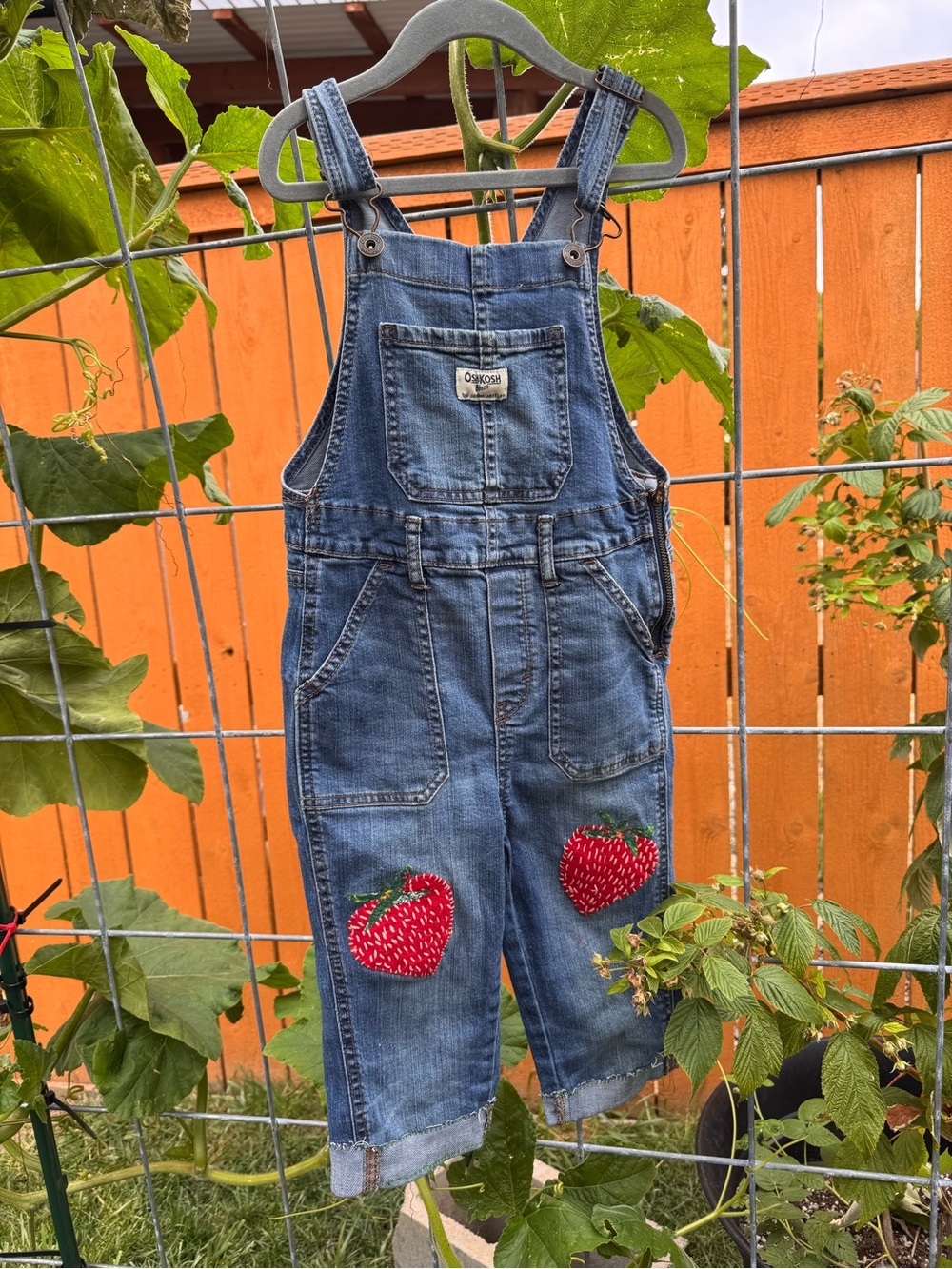 OshKosh B'gosh Denim Overalls with Red Strawberry Patches